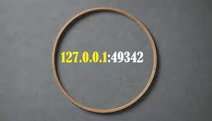 What is 127.0.0.1:49342?