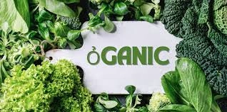 ỎGANIC