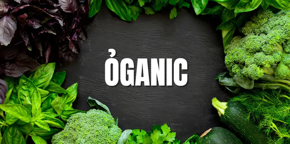 Exploring ỎGANIC: Meaning and Benefits