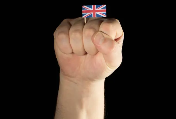 hobbyking.co.uk