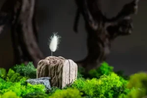 Simplysseven.net